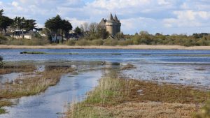 Pourquoi choisir le Morbihan pour votre maison ?